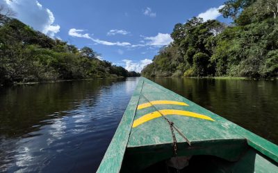 Amazon Lake Fishing